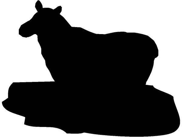 Животные 306 Животные 306