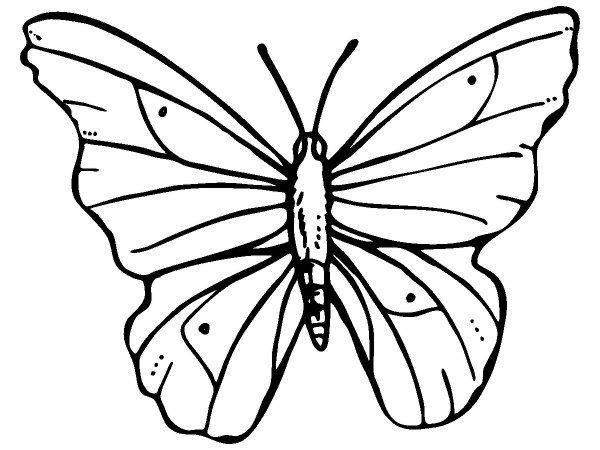 Животные 3138 Животные 3138