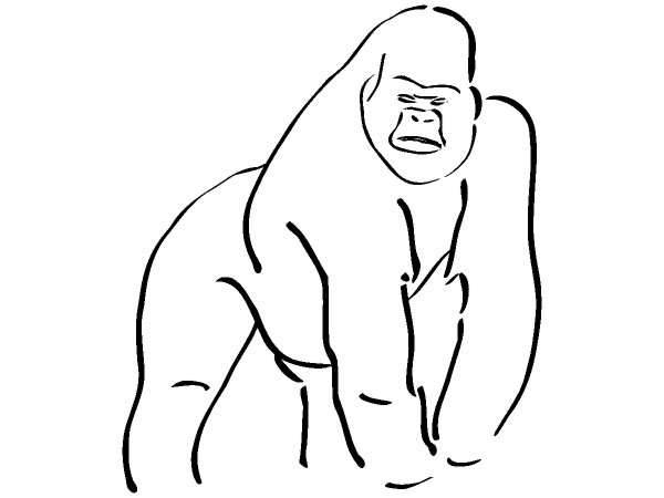 Животные 296