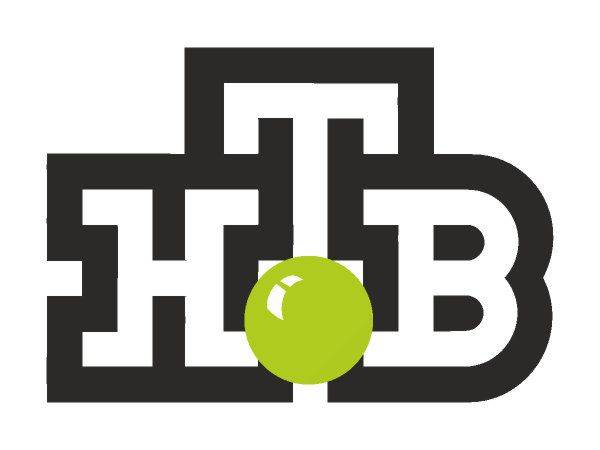 NTV logo