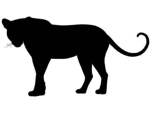 Животные 3512 Животные 3512