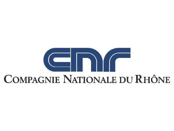 CNR logo CNR logo