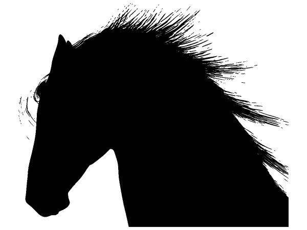 Животные 3510 Животные 3510