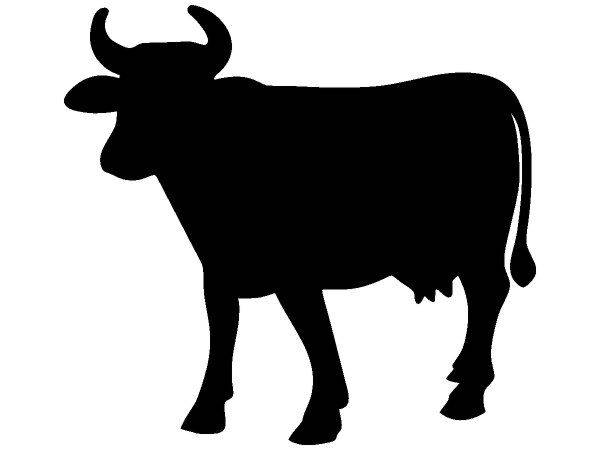 Животные 3672 Животные 3672