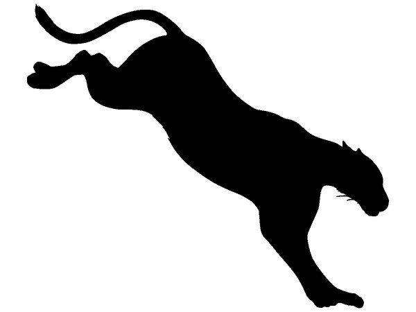 Животные 669 Животные 669