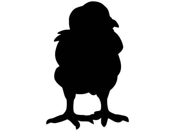 Животные 3609 Животные 3609