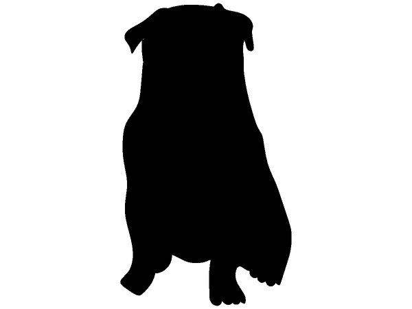 Животные 2124 Животные 2124