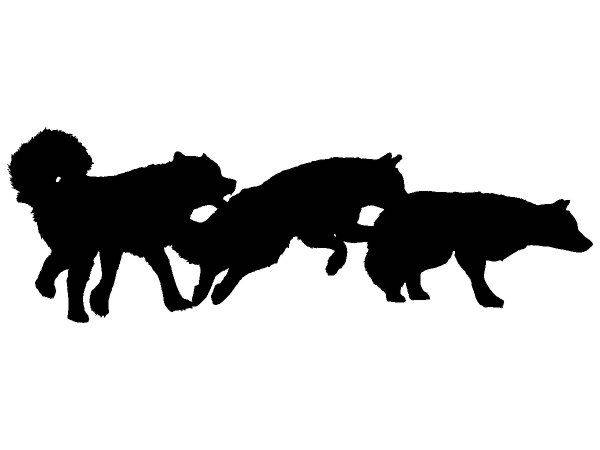 Животные 3488 Животные 3488