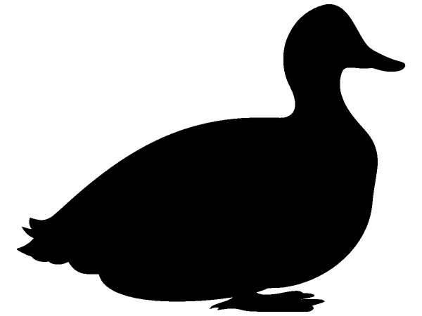 Животные 222