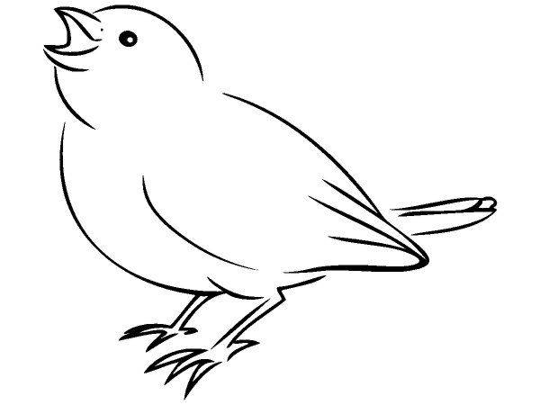 Животные 3038 Животные 3038