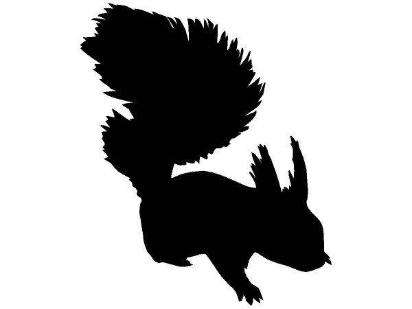 Животные 255