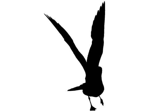 Животные 1325