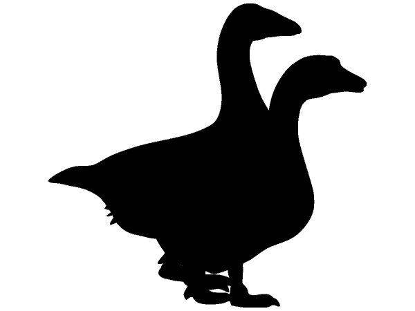 Животные 3598 Животные 3598