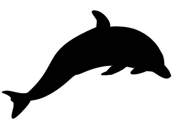 Животные 1217 Животные 1217