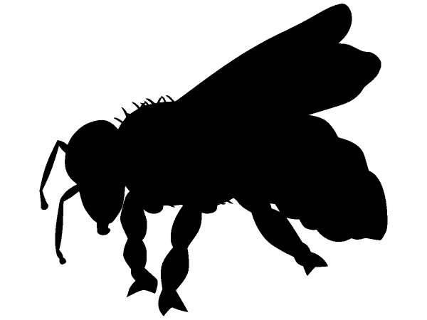 Животные 873