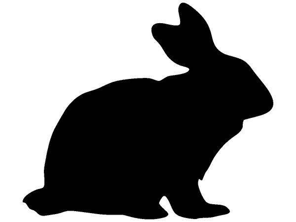 Животные 1644