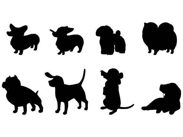 Животные 3111 Животные 3111