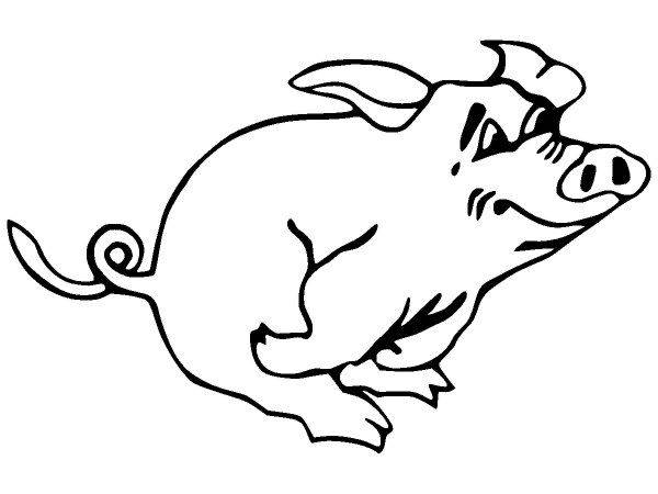 Животные 461