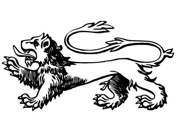 Животные 2926