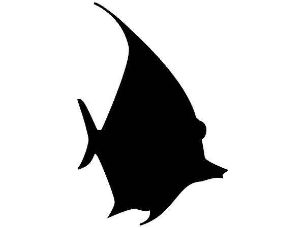 Животные 1370