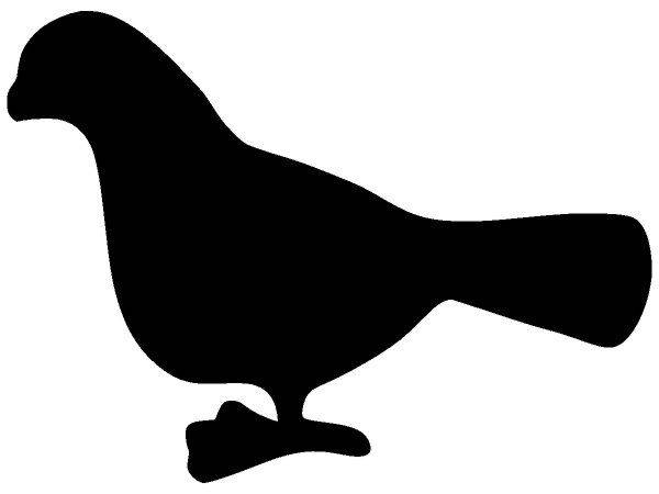 Животные 14 Животные 14