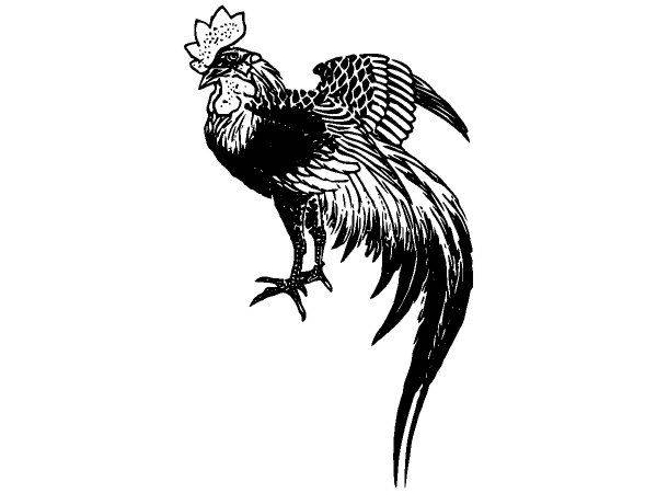 Животные 2721