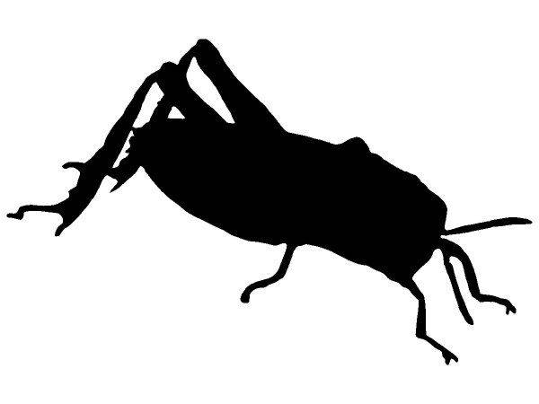 Животные 2929