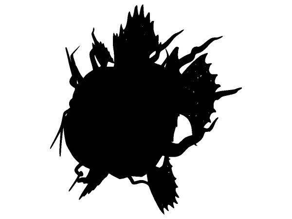 Животные 4166