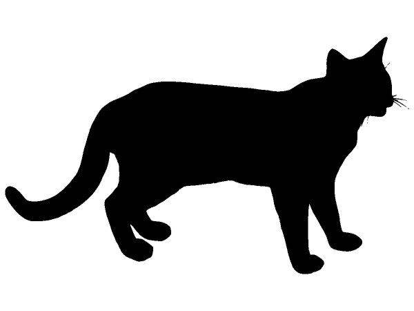 Животные 4182