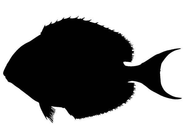 Животные 1193