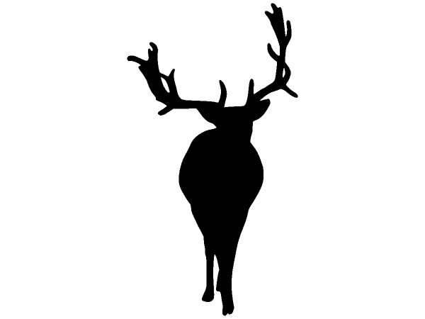 Животные 1348