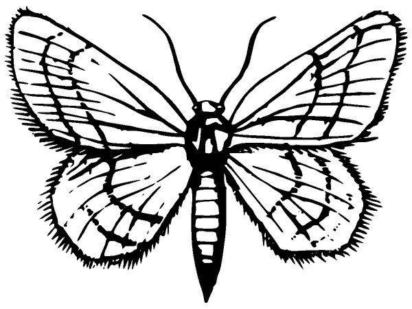 Животные 2844