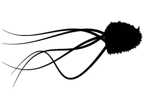 Животные 1600 Животные 1600