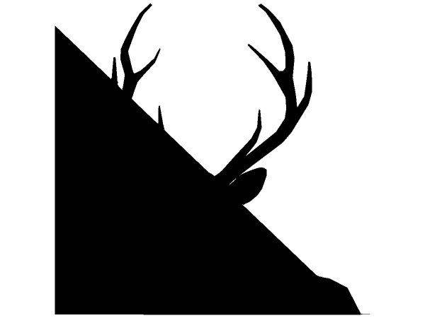 Животные 4328 Животные 4328