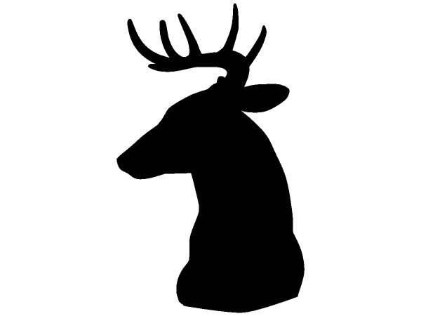 Животные 1143