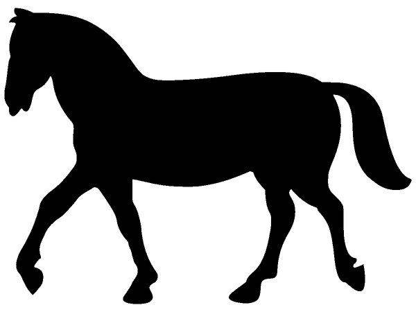 Животные 3573 Животные 3573