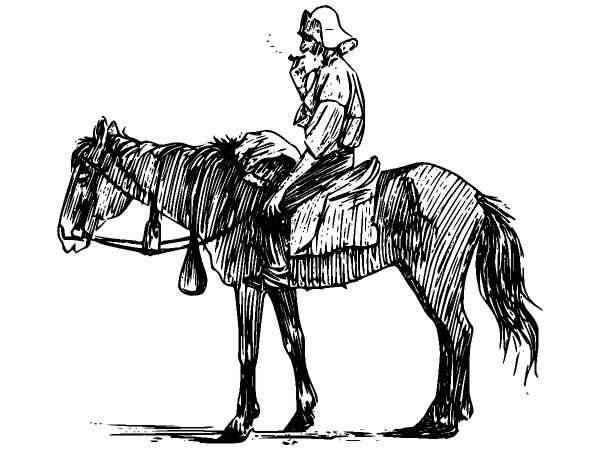 Животные 920