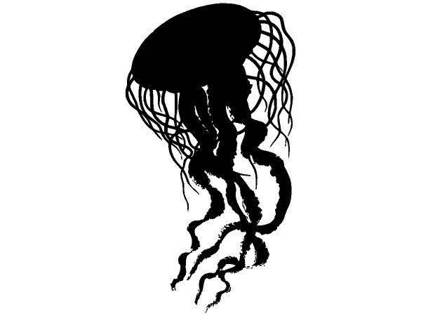 Животные 2745