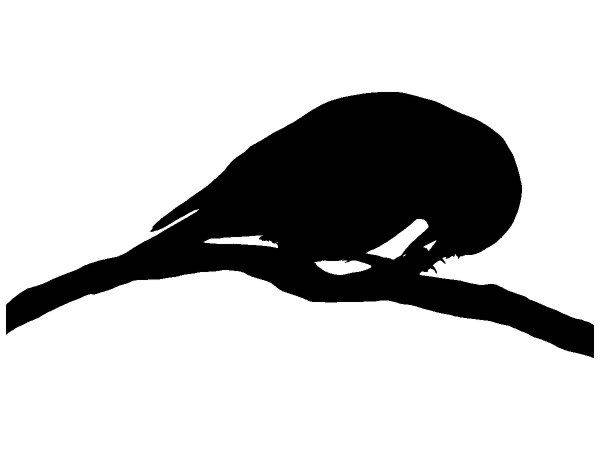 Животные 4269 Животные 4269