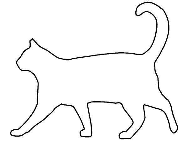 Животные 1333