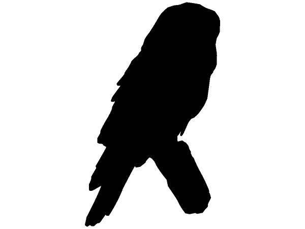 Животные 433