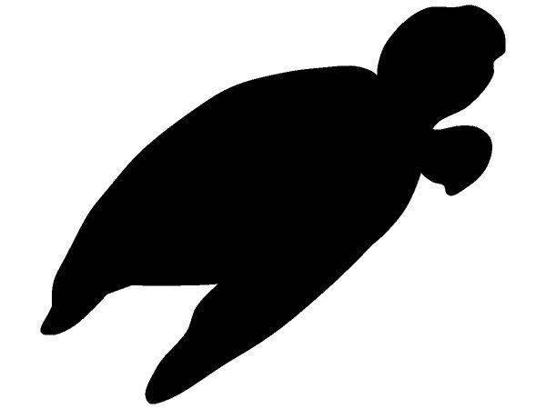 Животные 2973 Животные 2973