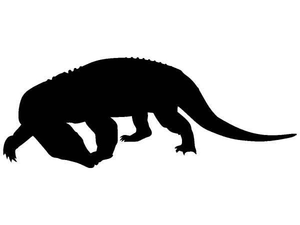 Животные 197