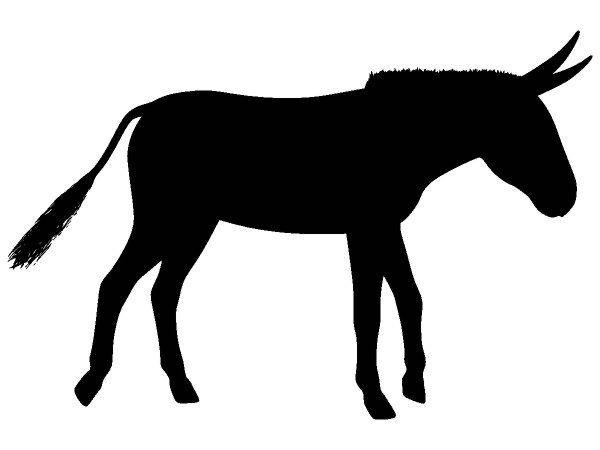 Животные 2240 Животные 2240