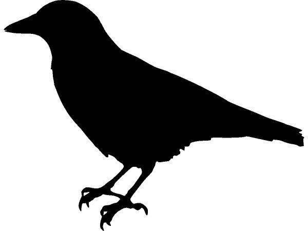 Животные 3422 Животные 3422