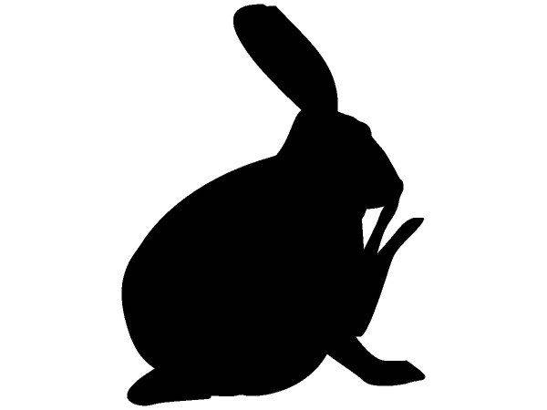 Животные 657 Животные 657