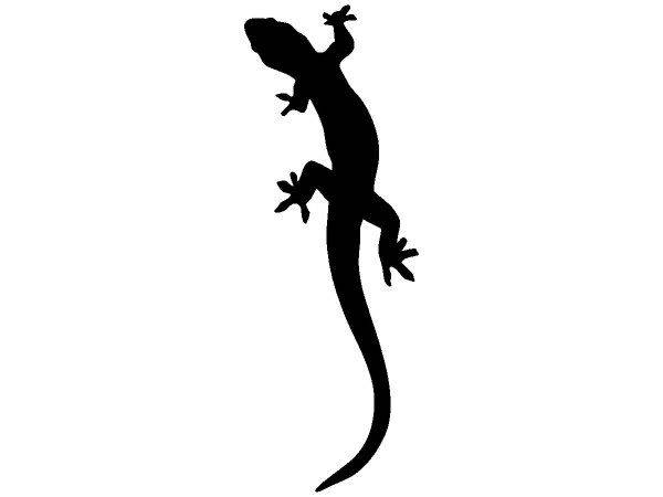 Животные 2897