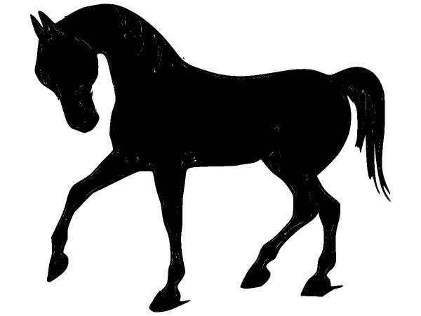 Животные 435