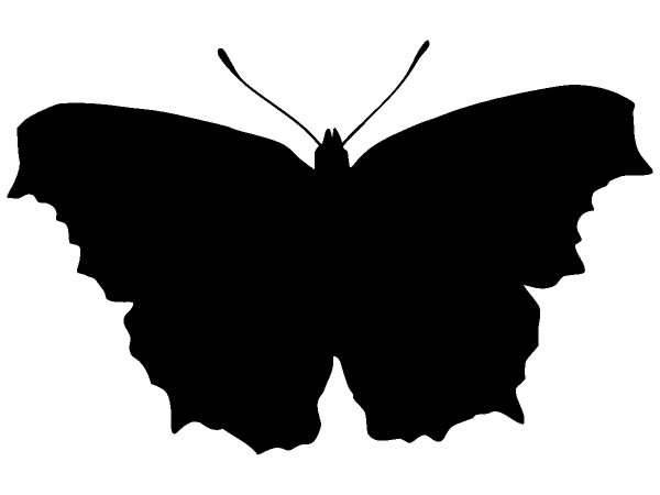 Животные 1214