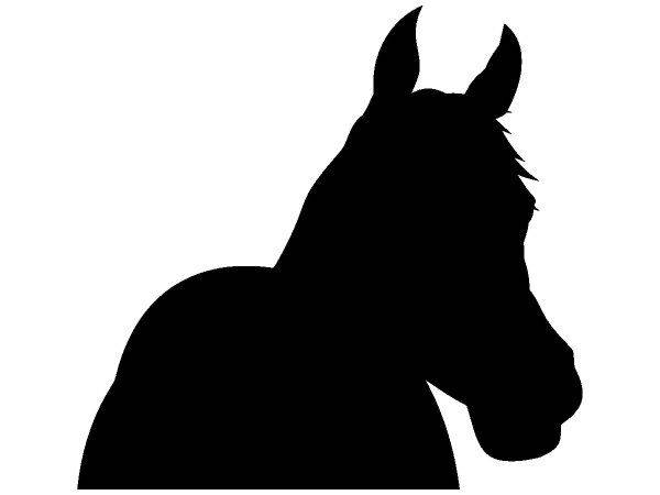 Животные 2512